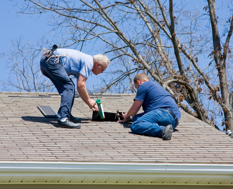 South Auckland Roofing Company, South Auckland, New Zealand